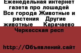 Еженедельная интернет - газета про лошадей - Все города Животные и растения » Другие животные   . Карачаево-Черкесская респ.